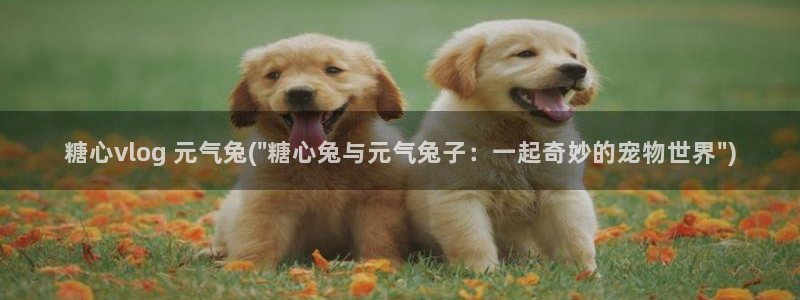 最新糖心vlog兑换码:糖心vlog 元