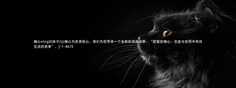 糖心vlog雷姆:糖心vlog约妹子(以