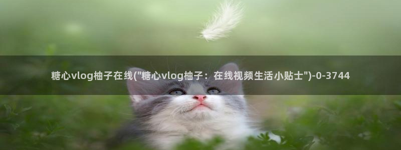 糖心vlog激活码购买:糖心vlog柚子