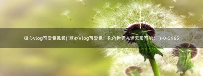 现在是糖心vlog时间:糖心vlog可爱